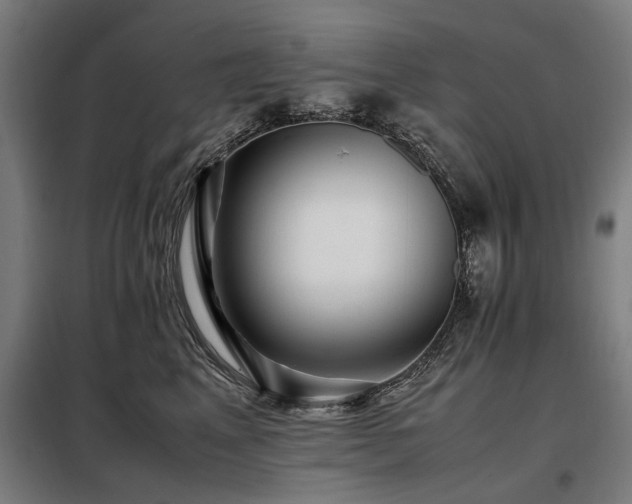 X0000098080617200804041150