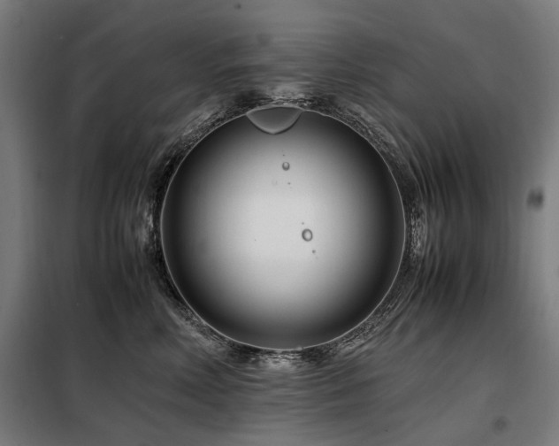 X0000098080618200804041150