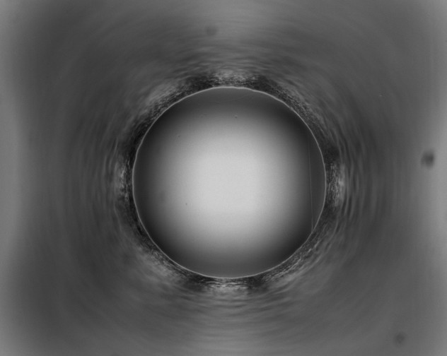 X0000098080619200804041150