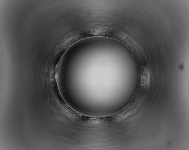 X0000098080620200804041150