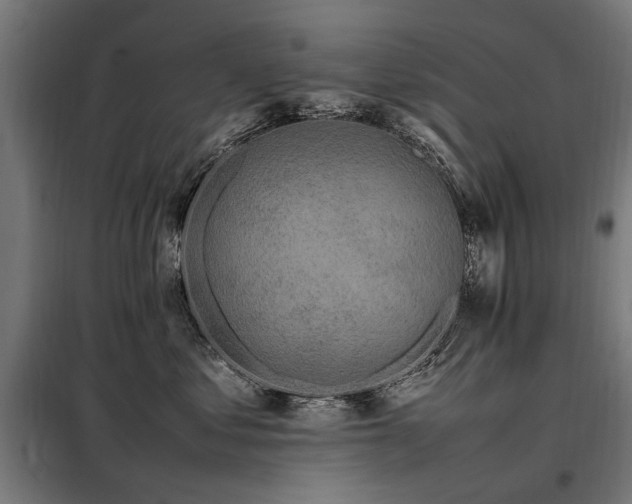 X0000098080621200804041150