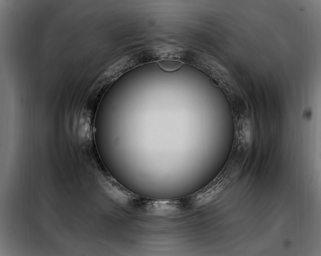 X0000098080622200804041150