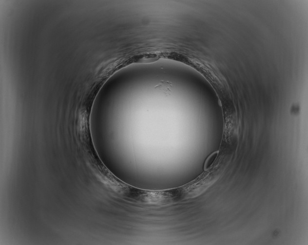 X0000098080623200804041150