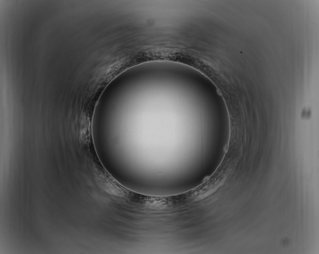 X0000098080624200804041150