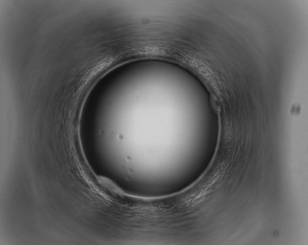 X0000098080625200804041149