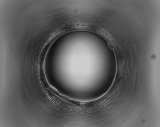 X0000098080626200804041149