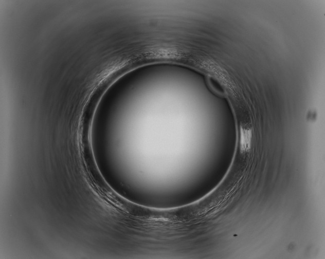X0000098080627200804041149