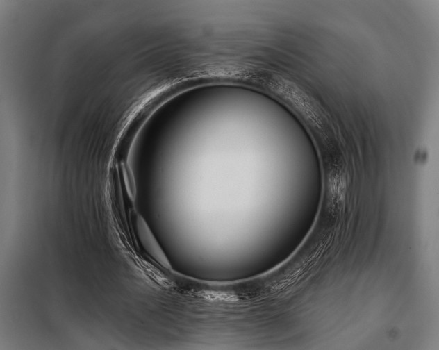 X0000098080628200804041149
