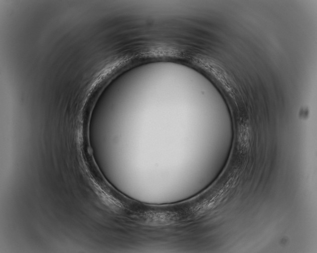 X0000098080629200804041149