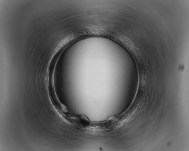 X0000098080630200804041149