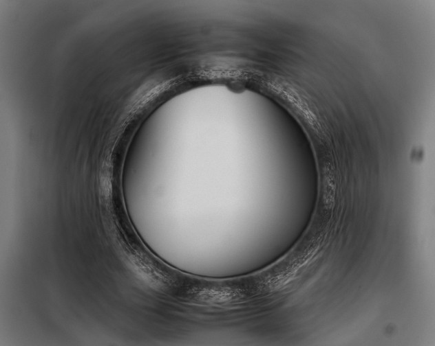 X0000098080631200804041149