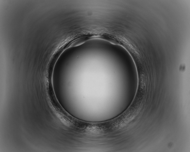 X0000098080634200804041149