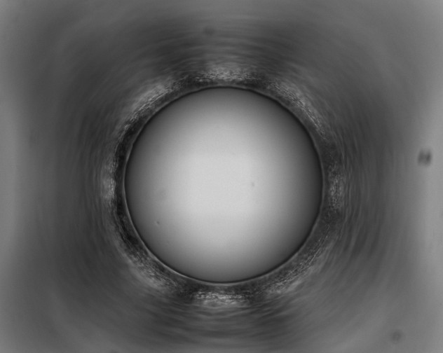 X0000098080635200804041149