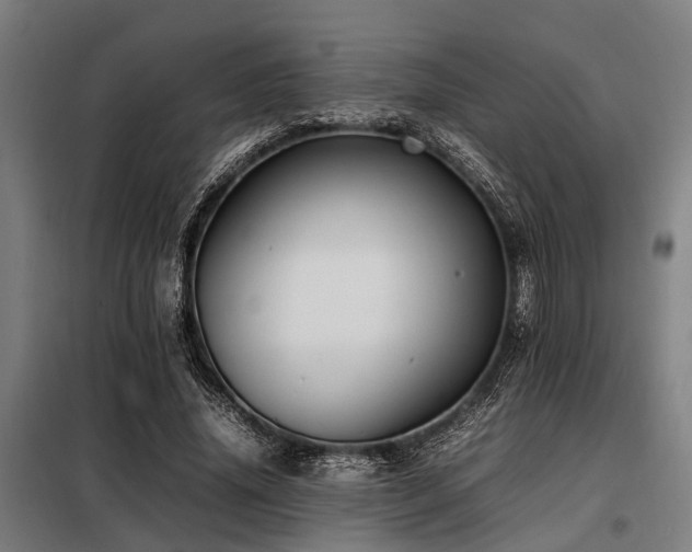 X0000098080636200804041149