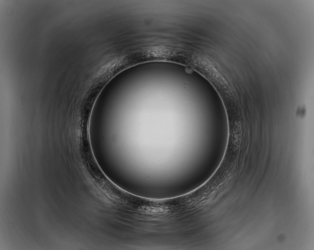 X0000098080639200804041150