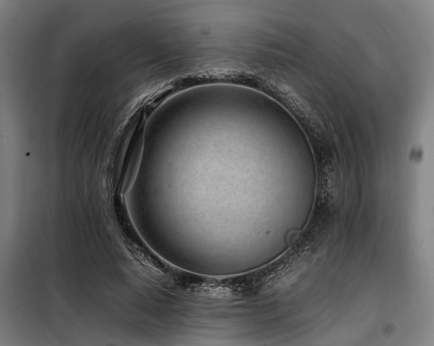 X0000098080640200804041150