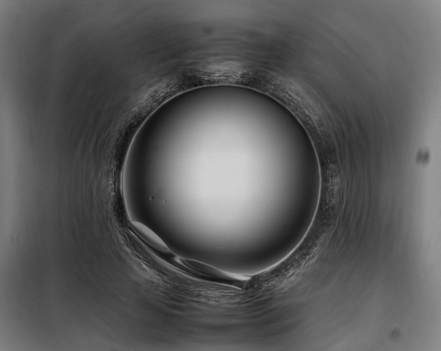 X0000098080641200804041150