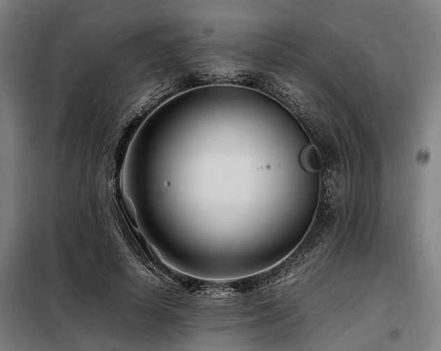 X0000098080642200804041150