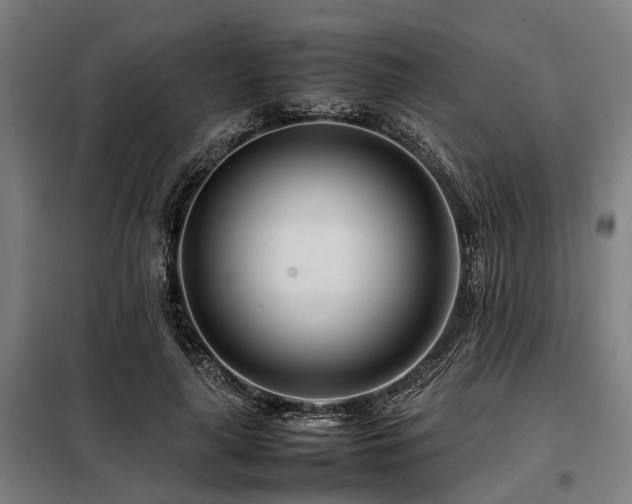 X0000098080643200804041150