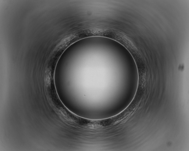 X0000098080644200804041150