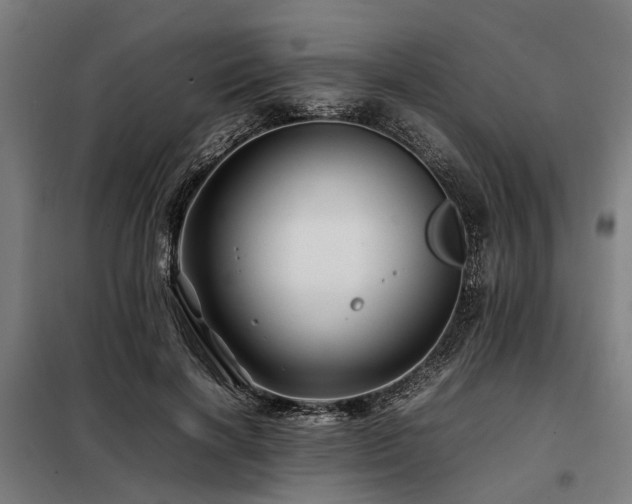 X0000098080646200804041150