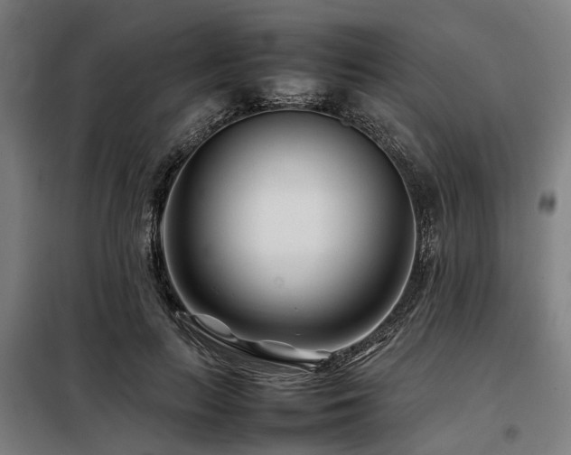 X0000098080647200804041150