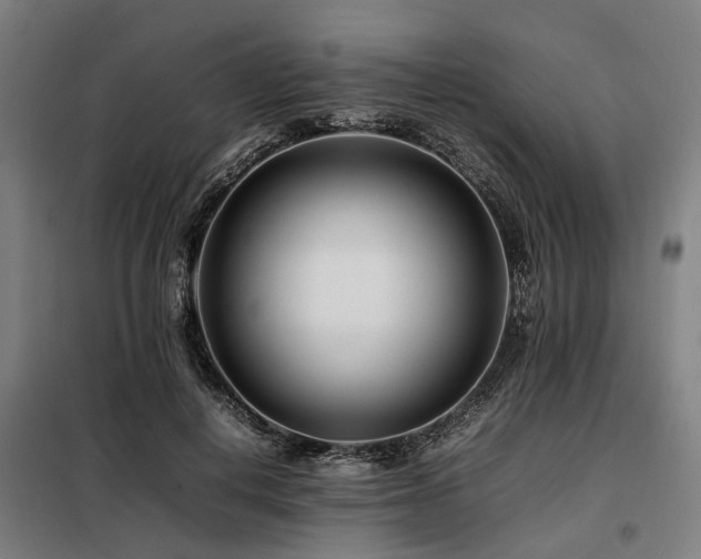 X0000098080648200804041150