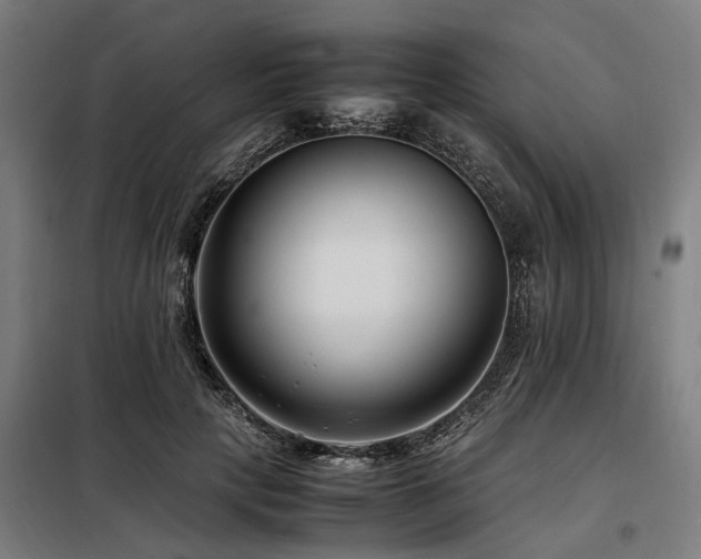 X0000098080649200804041150