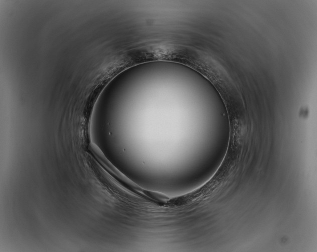 X0000098080650200804041150