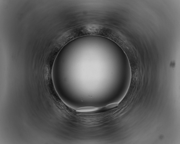 X0000098080651200804041150