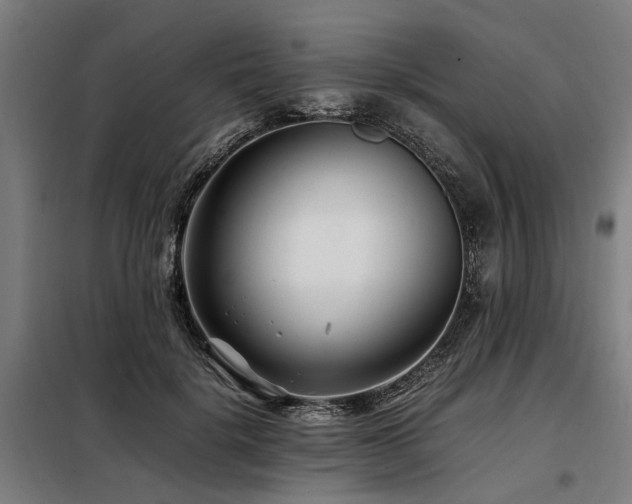 X0000098080652200804041150