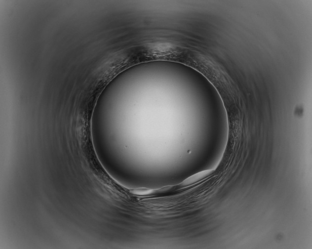 X0000098080653200804041150