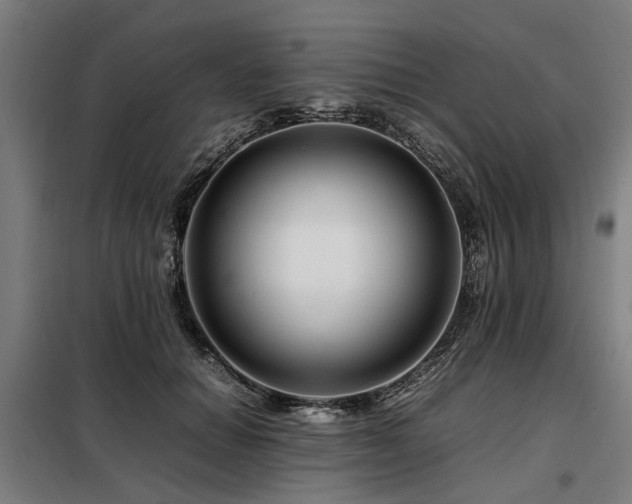 X0000098080654200804041150