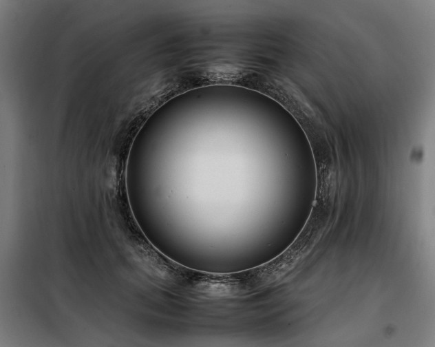 X0000098080655200804041150