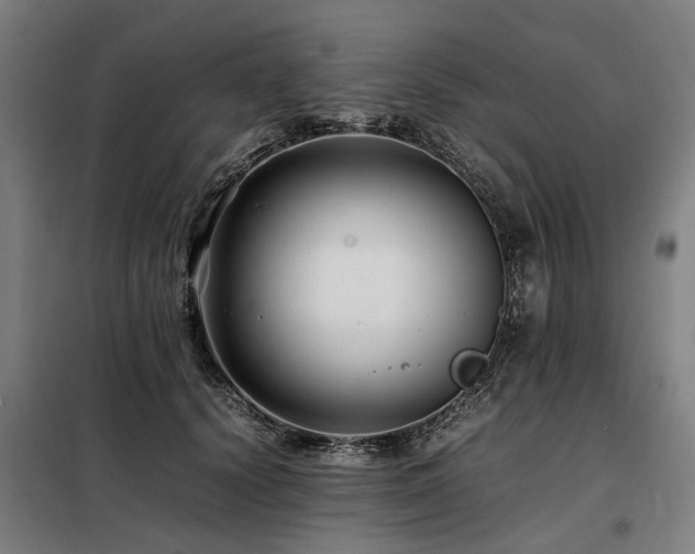 X0000098080656200804041150