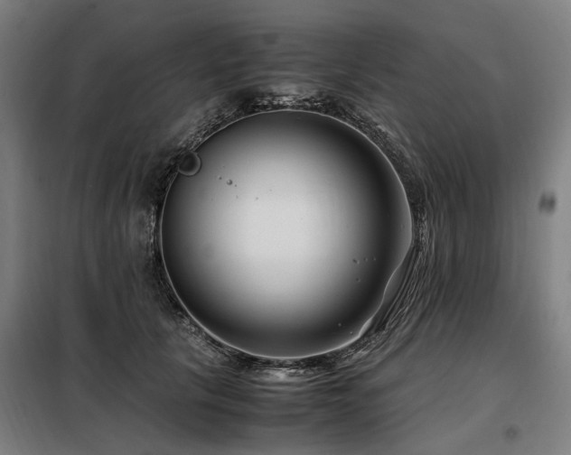 X0000098080657200804041150
