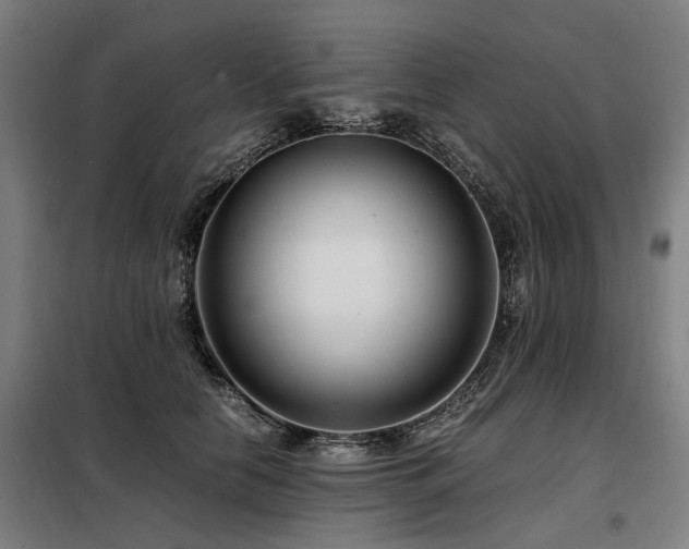 X0000098080658200804041150