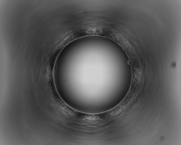 X0000098080659200804041150
