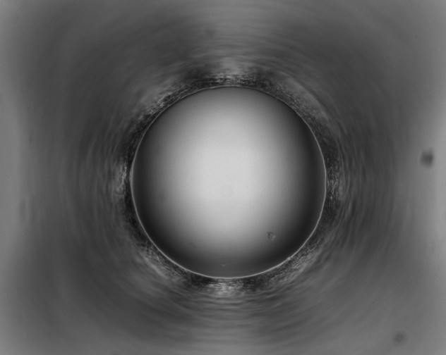 X0000098080660200804041150