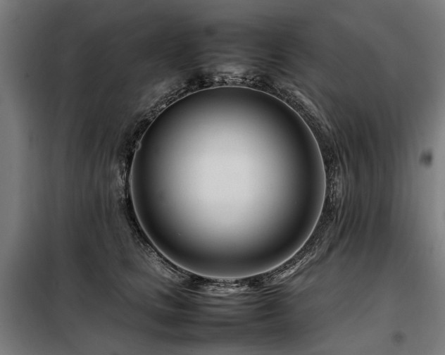 X0000098080661200804041150