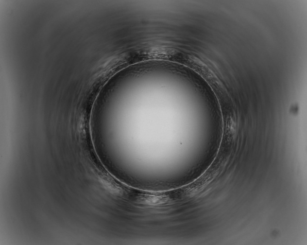 X0000098080663200804041150
