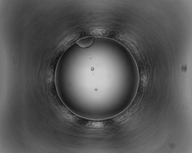 X0000098080665200804041150