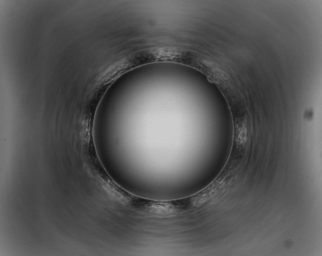 X0000098080666200804041150