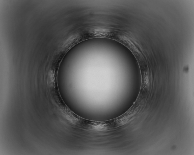 X0000098080667200804041150