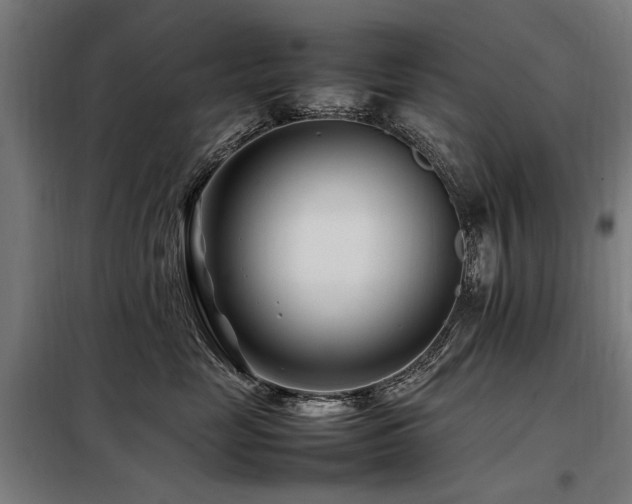 X0000098080669200804041150