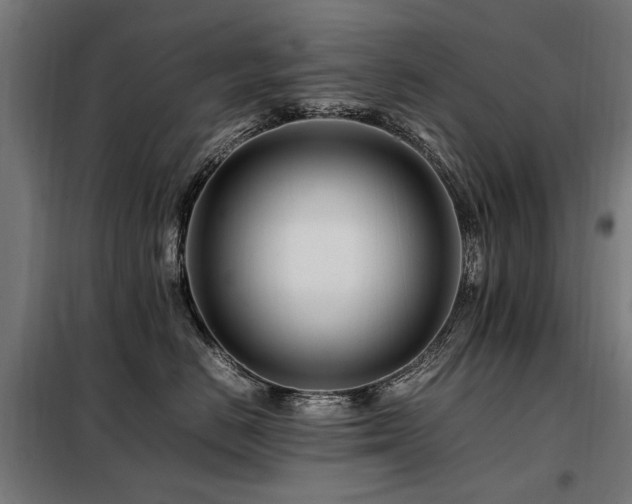 X0000098080670200804041150
