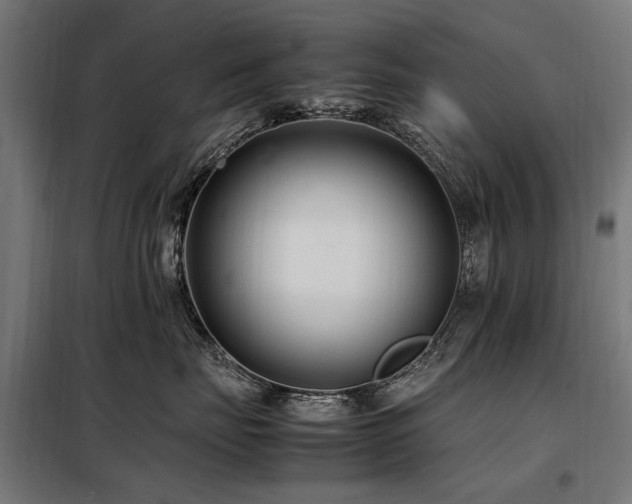X0000098080671200804041150