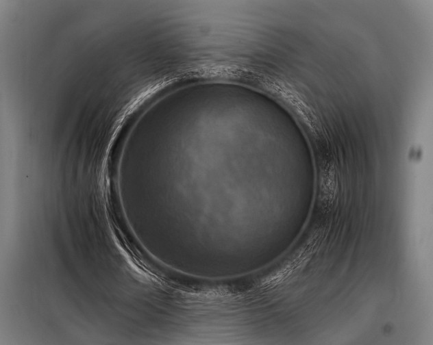X0000098080674200804041149