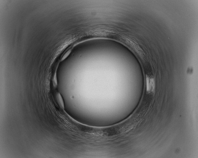 X0000098080675200804041149