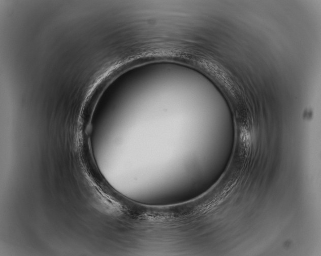 X0000098080676200804041149